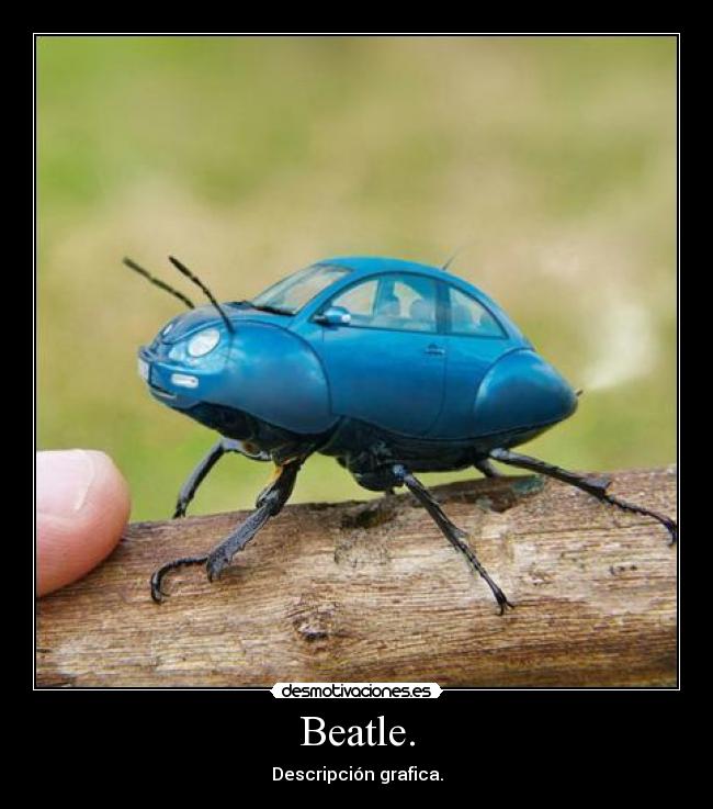 Beatle. - Descripción grafica.