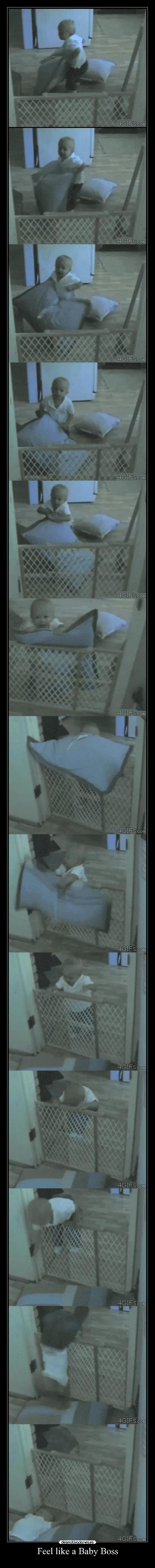 Feel like a Baby Boss - 