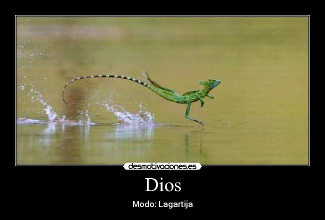 Dios -