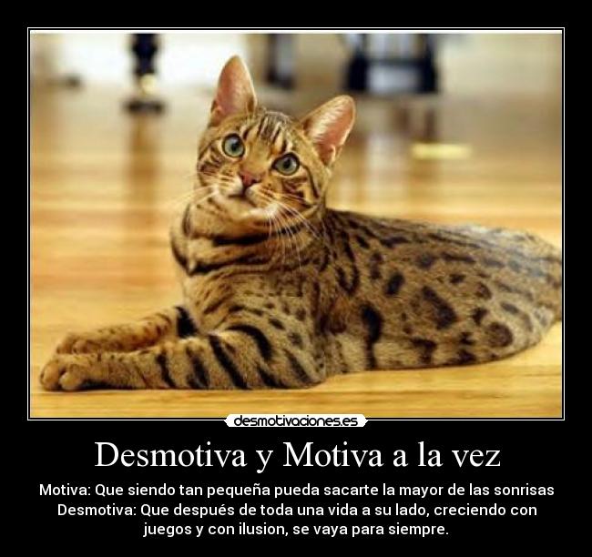 Desmotiva y Motiva a la vez - Motiva: Que siendo tan pequeña pueda sacarte la mayor de las sonrisas
Desmotiva: Que después de toda una vida a su lado, creciendo con
juegos y con ilusion, se vaya para siempre.