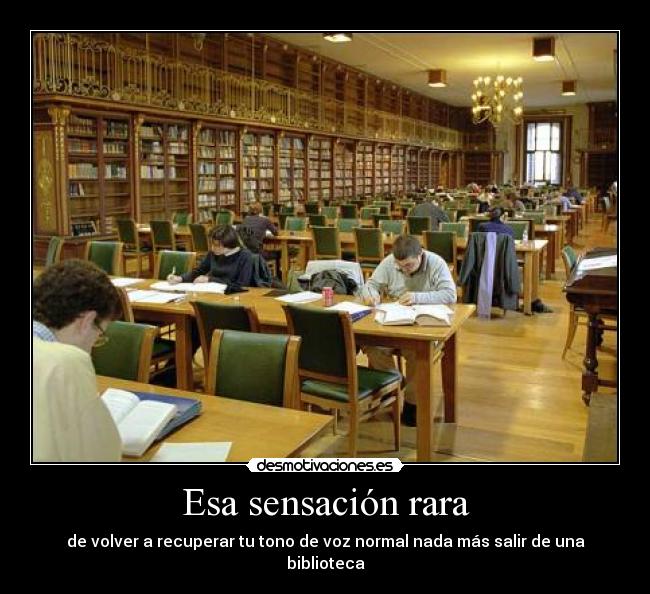 Esa sensación rara - de volver a recuperar tu tono de voz normal nada más salir de una biblioteca