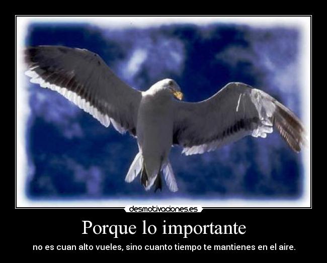 Porque lo importante -