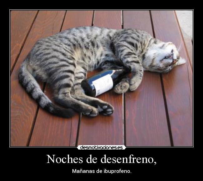 Noches de desenfreno, - Mañanas de ibuprofeno.
