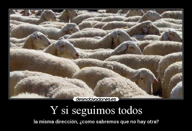 Y si seguimos todos -