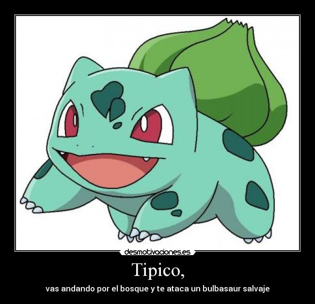 Tipico, -