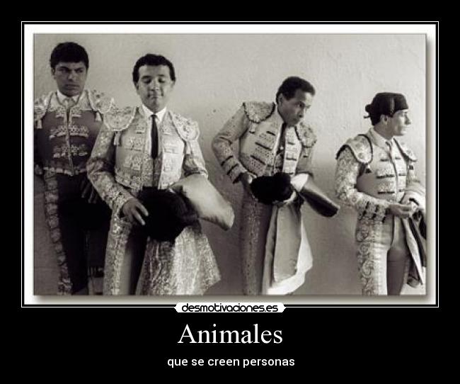 Animales -