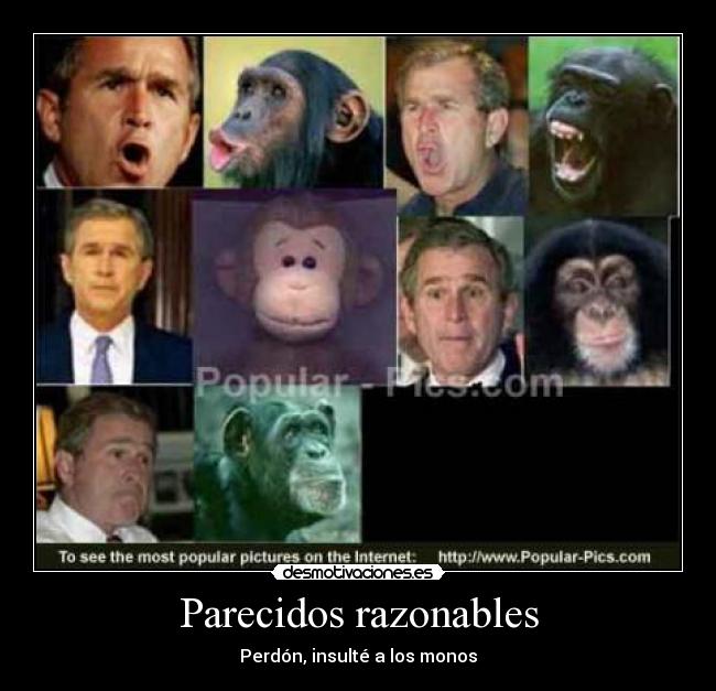 Parecidos razonables -