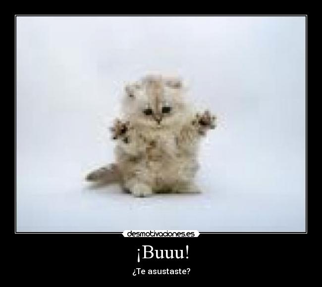 ¡Buuu! -