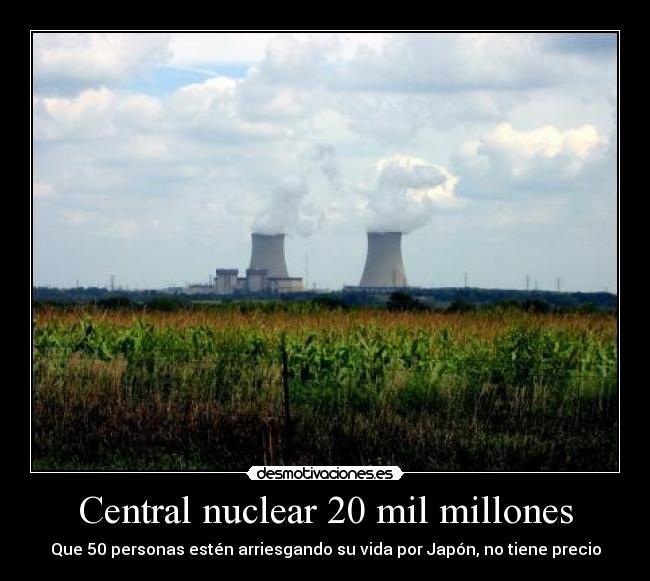 Central nuclear 20 mil millones -