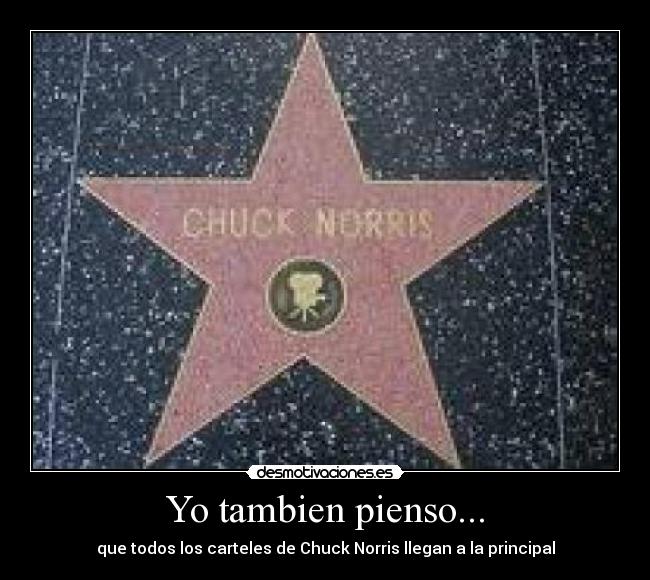 Yo tambien pienso... - que todos los carteles de Chuck Norris llegan a la principal