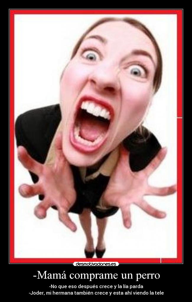 -Mamá comprame un perro - 