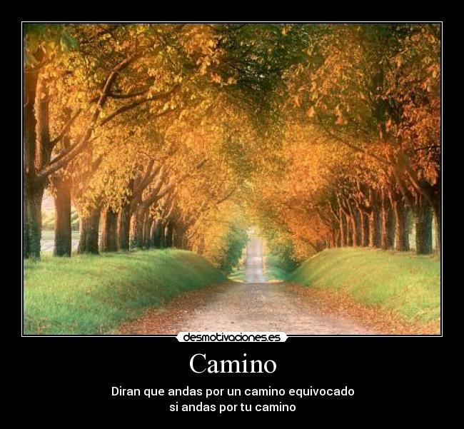 Camino -