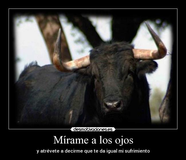 Mírame a los ojos - 
