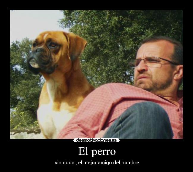 El perro - 