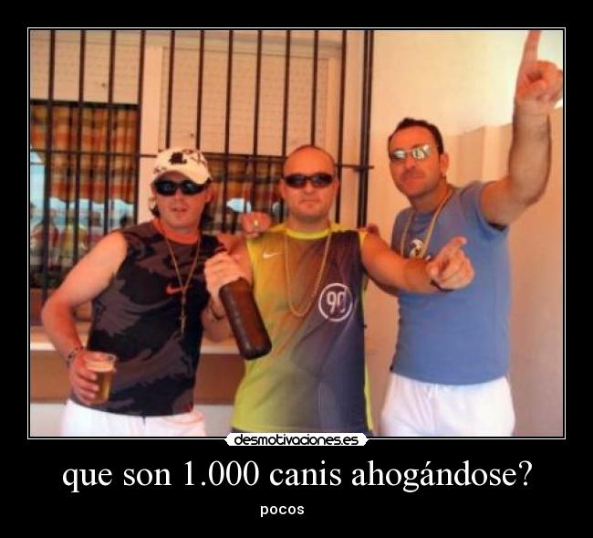 que son 1.000 canis ahogándose? - 