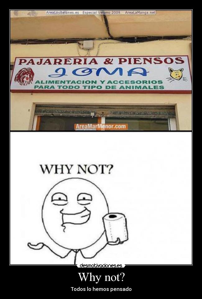 carteles whynotpajareria desmotivaciones