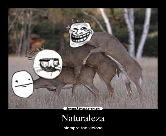 Naturaleza - siempre tan viciosa