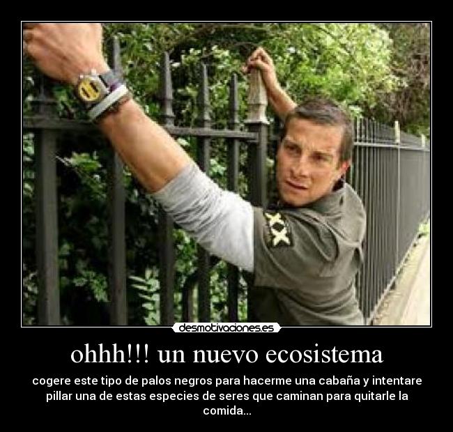 ohhh!!! un nuevo ecosistema - 