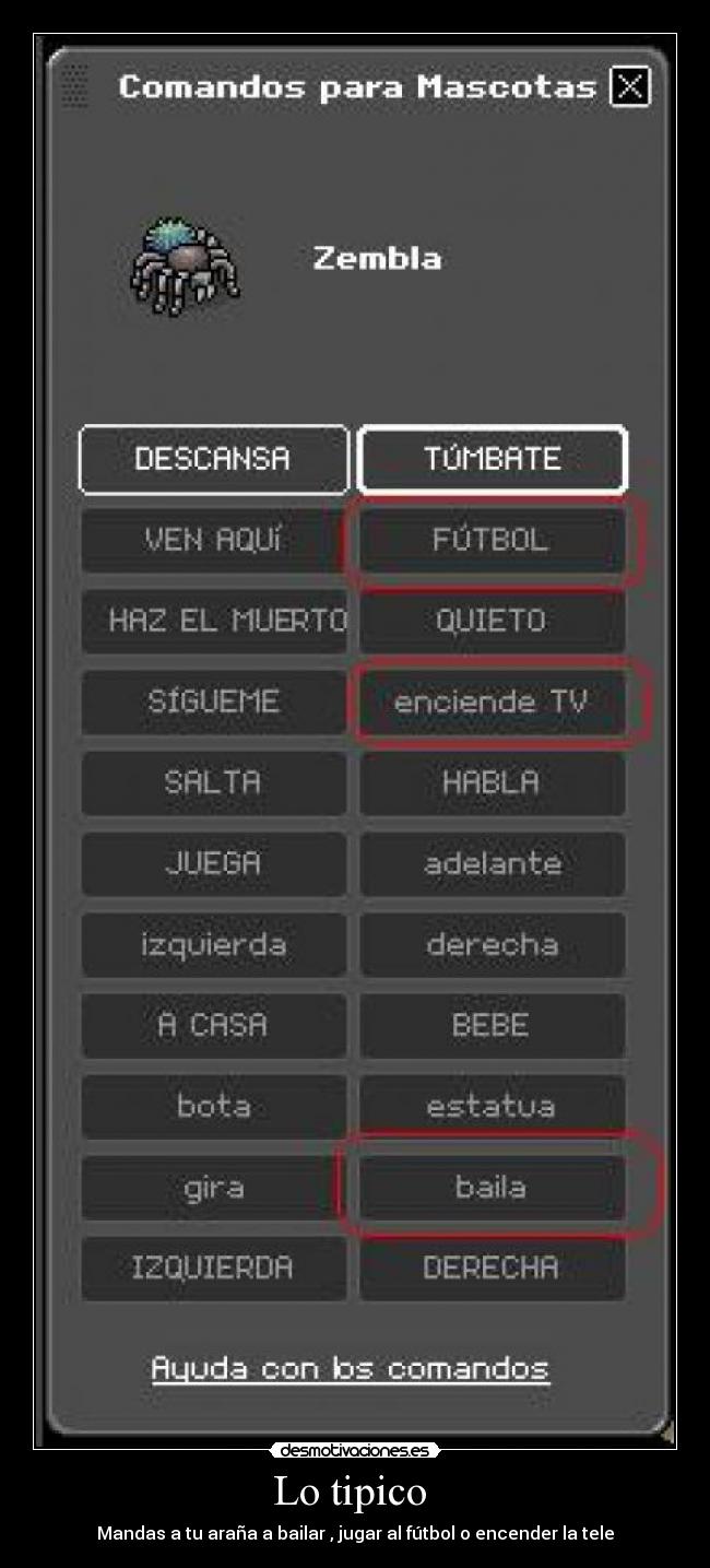 carteles mandas arana bailar jugar futbol encender tele desmotivaciones