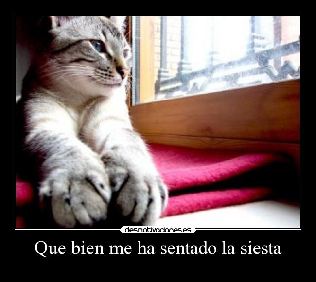 Que bien me ha sentado la siesta -