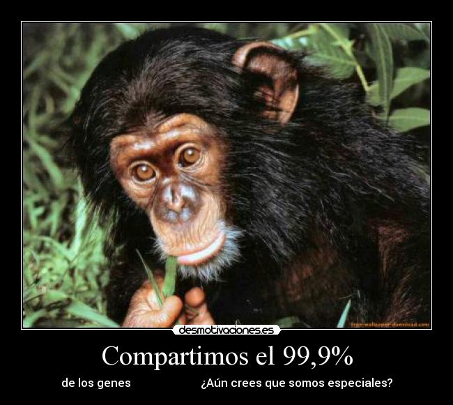 Compartimos el 99,9% - de los genes                         ¿Aún crees que somos especiales?