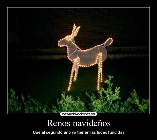 Renos navideños - Que al segundo año ya tienen las luces fundidas