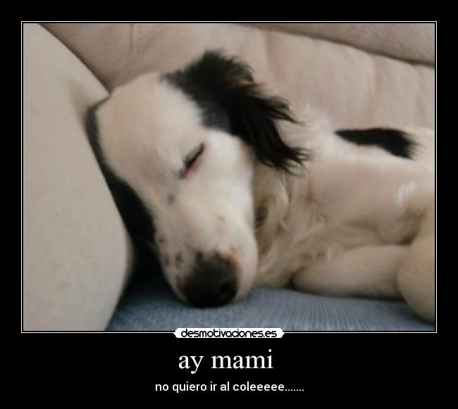 ay mami  - no quiero ir al coleeeee.......