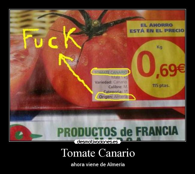 Tomate Canario - ahora viene de Almería