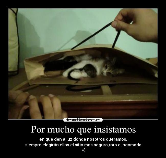 Por mucho que insistamos -