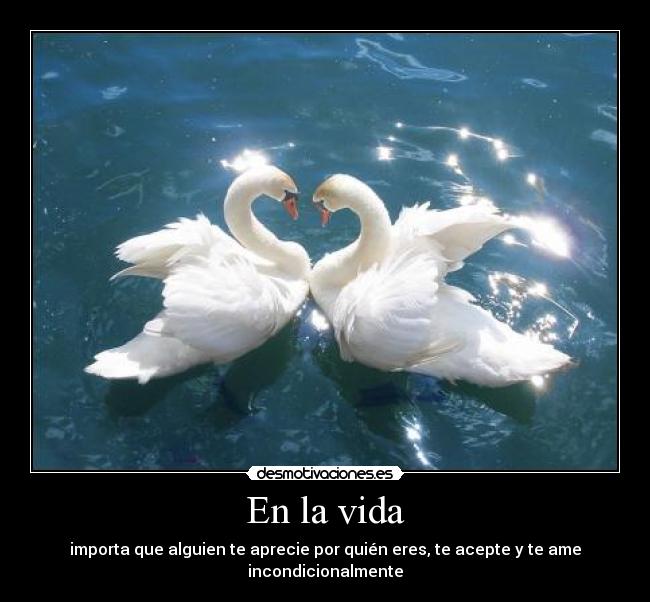 En la vida -