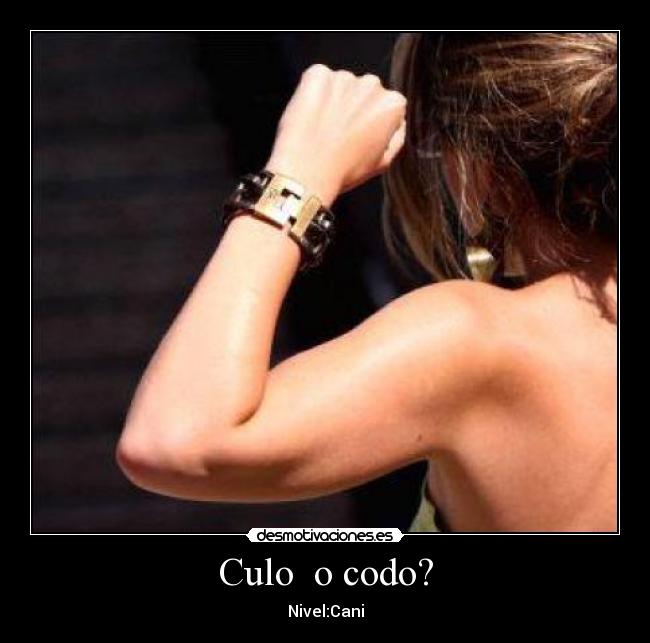 Culo o codo? - Nivel:Cani