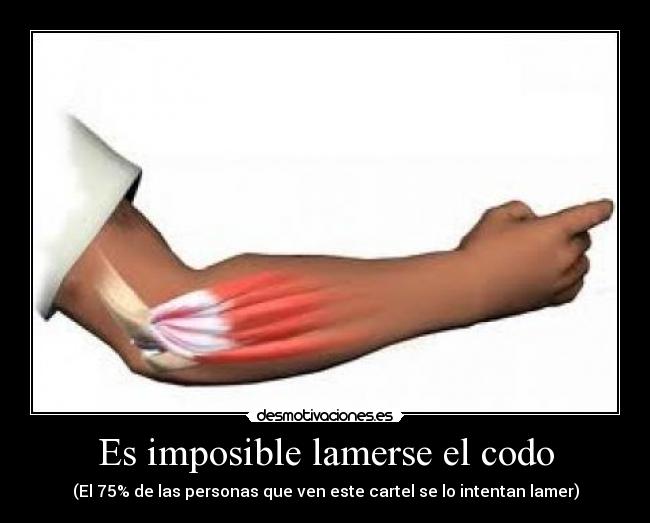 Es imposible lamerse el codo - 