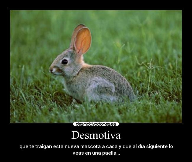 carteles laayca desmotivaciones