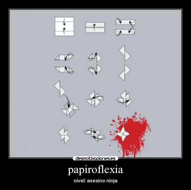 papiroflexia -