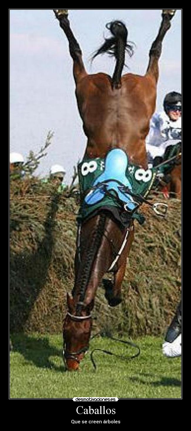 Caballos - Que se creen árboles