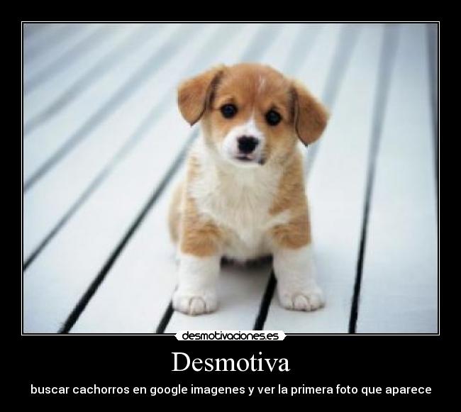Desmotiva - 