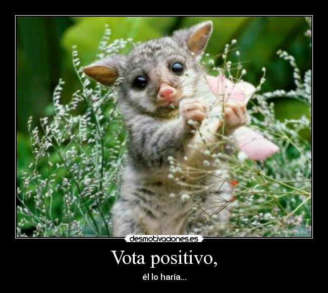 Vota positivo, - él lo haría...