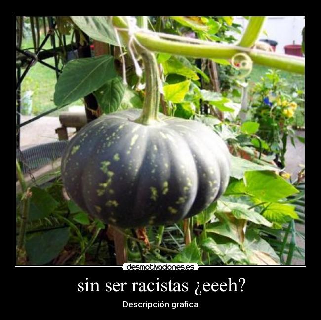 sin ser racistas ¿eeeh? - Descripción grafica