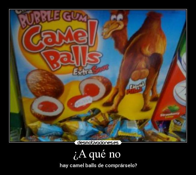 ¿A qué no  - hay camel balls de comprárselo?