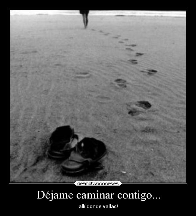 Déjame caminar contigo... - 