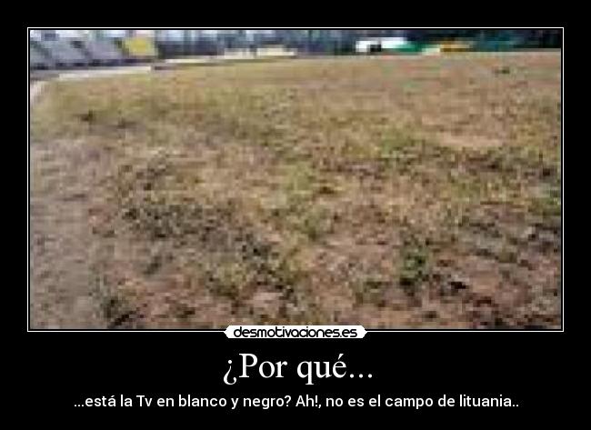 ¿Por qué... - ...está la Tv en blanco y negro? Ah!, no es el campo de lituania..