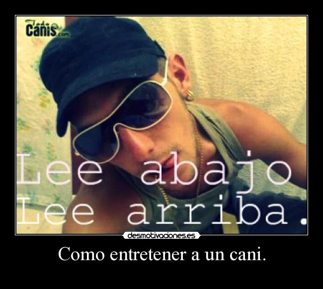 Como entretener a un cani. -
