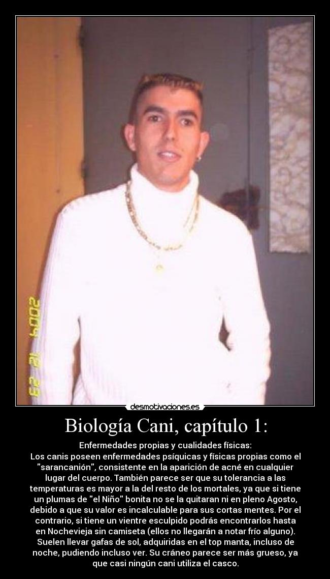 Biología Cani, capítulo 1: - Enfermedades propias y cualidades físicas:
Los canis poseen enfermedades psíquicas y físicas propias como el
sarancanión, consistente en la aparición de acné en cualquier
lugar del cuerpo. También parece ser que su tolerancia a las
temperaturas es mayor a la del resto de los mortales, ya que si tiene
un plumas de el Niño bonita no se la quitaran ni en pleno Agosto,
debido a que su valor es incalculable para sus cortas mentes. Por el
contrario, si tiene un vientre esculpido podrás encontrarlos hasta
en Nochevieja sin camiseta (ellos no llegarán a notar frío alguno).
Suelen llevar gafas de sol, adquiridas en el top manta, incluso de
noche, pudiendo incluso ver. Su cráneo parece ser más grueso, ya
que casi ningún cani utiliza el casco.