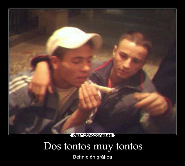 Dos tontos muy tontos - Definición gráfica