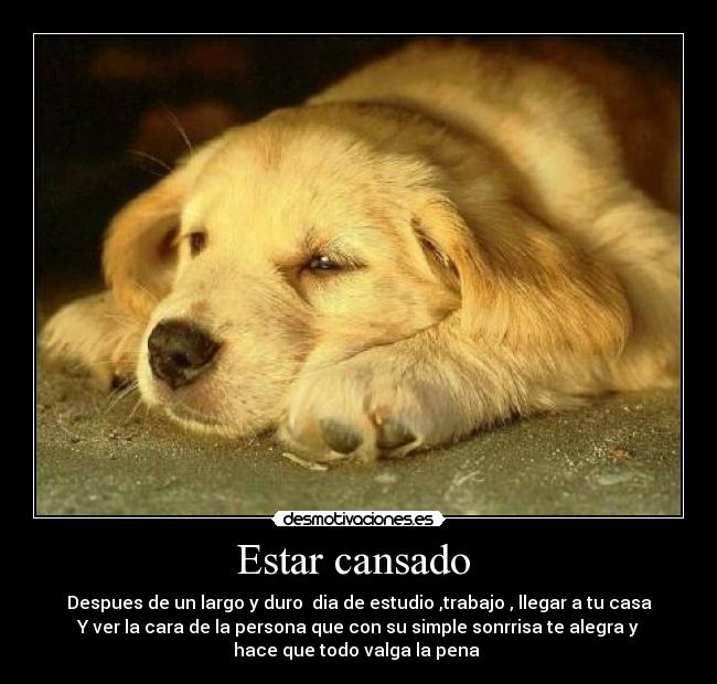 Estar cansado -