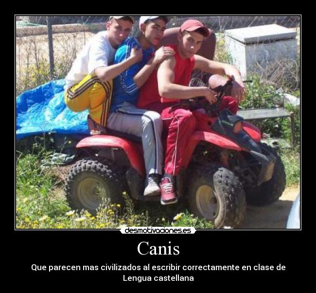Canis - Que parecen mas civilizados al escribir correctamente en clase de Lengua castellana