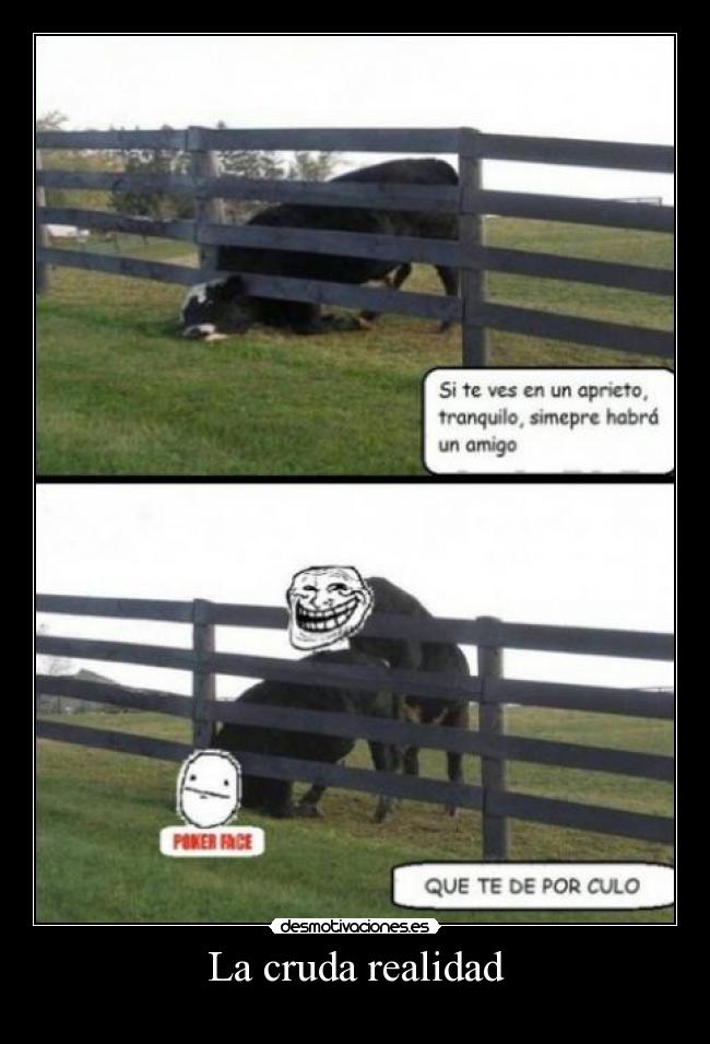 La cruda realidad -