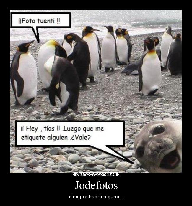 carteles guille desmotivaciones