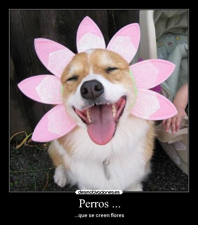 carteles guille desmotivaciones