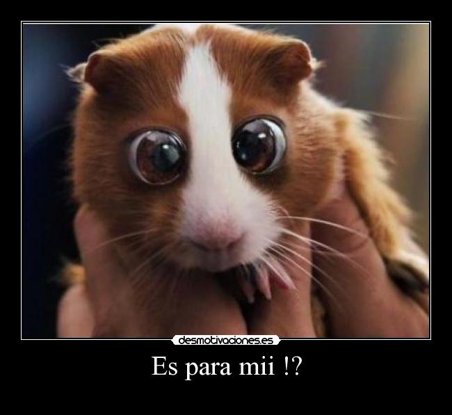 Es para mii !? -